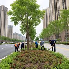 梧州市绿化工程公司